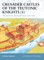 Crusader Castles of the Teutonic Knights (1)