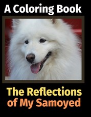 The Reflections of My Samoyed