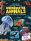 Explore Fantastic World of Underwater Picture Encyclopedia
