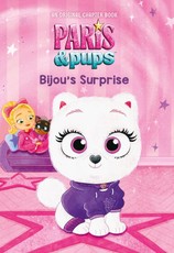 Bijou's Story (Paris and Pups: Illustrated Chapter Book #1)