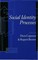Social Identity Processes