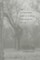 The Postsouthern Sense of Place in Contemporary Fiction