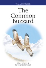 The Common Buzzard