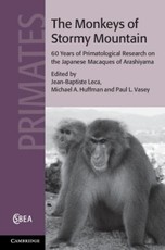 Monkeys of Stormy Mountain