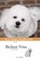 Bichon Frise