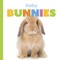 Baby Bunnies