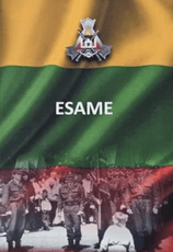 Esame: skiriame Lietuvos Nepriklausomybės atkūrimo dienos – Kovo 11-osios 30-osioms metinėms paminėti