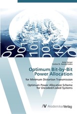 Optimum Bit-by-Bit Power Allocation
