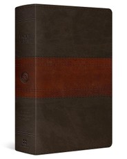 ESV Giant Print Personal Size Bible, Red Letter