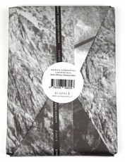 Labyrinthus (knyga su defektais)