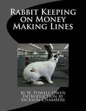 Rabbit Keeping on Money Making Lines