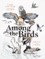 Among the Birds
