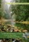 The Environmental Legacy of the UC Natural Reserve System