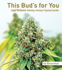 This Bud's for You