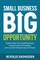 Small Business Big Opportunity