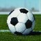 Deimantinė mozaika SOCCER BALL 20,32x20,32