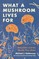 Hathaway, M: What a Mushroom Lives For