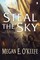 Steal the Sky