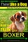Boxer, Boxer Training AAA Akc