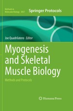 Myogenesis and Skeletal Muscle Biology