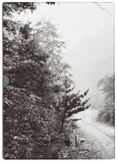 John Cage & William Gedney