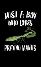 Just A Boy Who Loves Praying Mantis