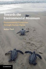 Towards the Environmental Minimum