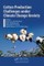 Cotton Production Challenges under Climate Change Anxiety