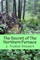The Secret of The Northern Furnace