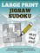 Large Print Jigsaw Sudoku