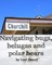 Navigating bugs, belugas and polar bears in Churchill, Canada