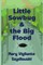 Little Sowbug & the Big Flood