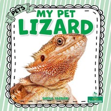 My Pet Lizard