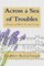 Across a Sea of Troubles