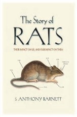 Story of Rats