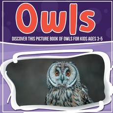 Owls