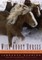 Wild About Horses