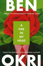 A Fire in My Head