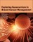 Exploring Nanocarriers in Breast Cancer Management