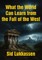 What the World Can Learn from the Fall of the West