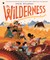 McCarthy, S: Wilderness