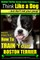 Boston Terrier, Boston Terrier Training AAA Akc