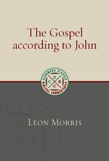 Gospel according to John