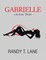 Gabrielle: An Erotic Thriller