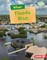 When Floods Rise