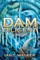 Dam Diligent