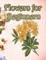 Flowers for Beginners