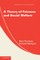 Theory of Fairness and Social Welfare
