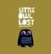 Little Owl Lost