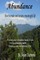 Abundance How To Create And Sustain A Meaningful Life